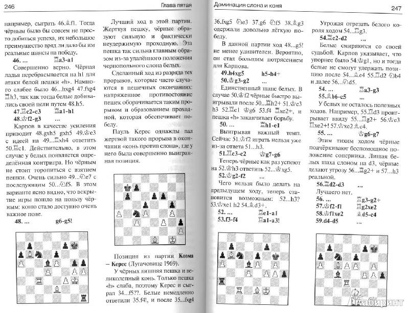 Шахматы. Уроки стратегии от Яна Тиммана