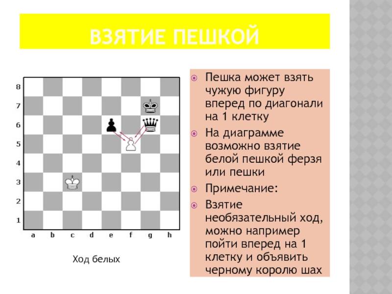 Алгоритм нахождения 1000 ферзей на шахматной доске