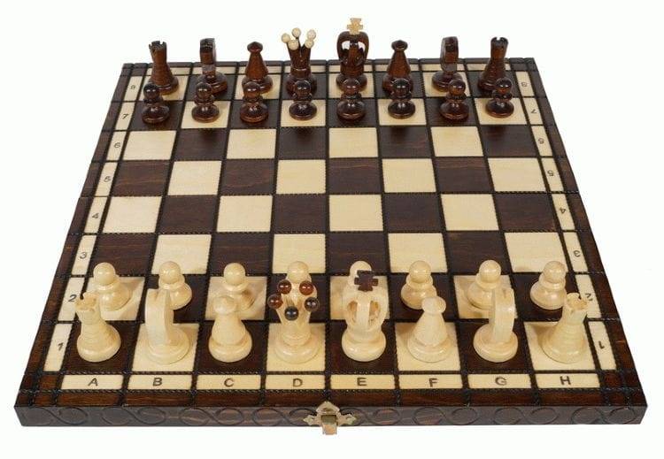 Как играть в шахматы (для начинающих): 15 шагов