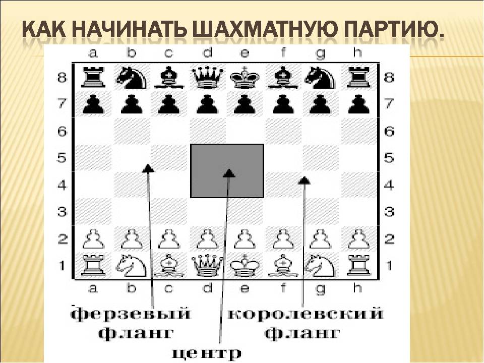 Правила шахмат | правила игры в шахматы для начинающих и детей