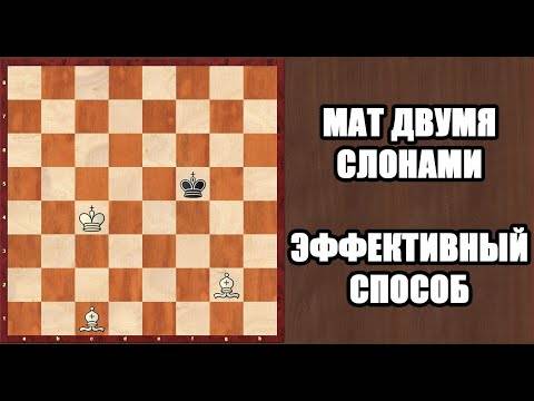 Как поставить мат двумя слонами в шахматах?