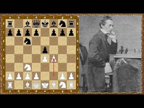 Шварценеггер играл в шахматы с ослом, а наполеон сломал прадедушку современных компьютеров