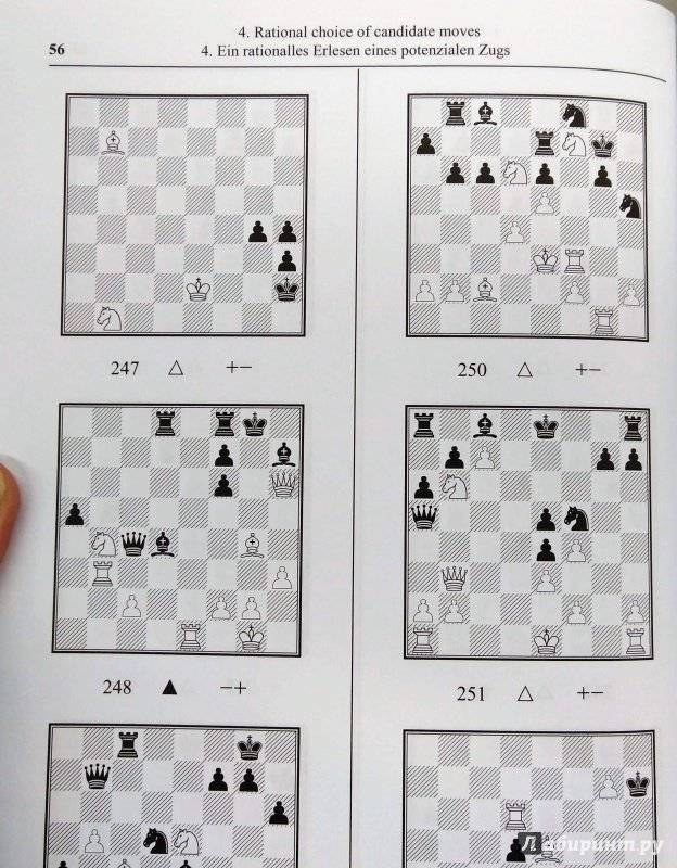 Комбинации в шахматах для начинающих | типичные примеры