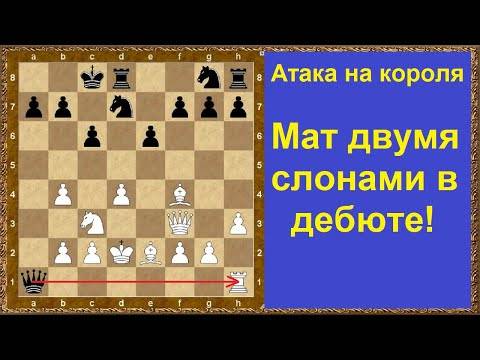 Косичка. мат двумя слонами. 21-ый шахматный урок. - детско-юношеская комиссия санкт-петербургской шахматной федерации