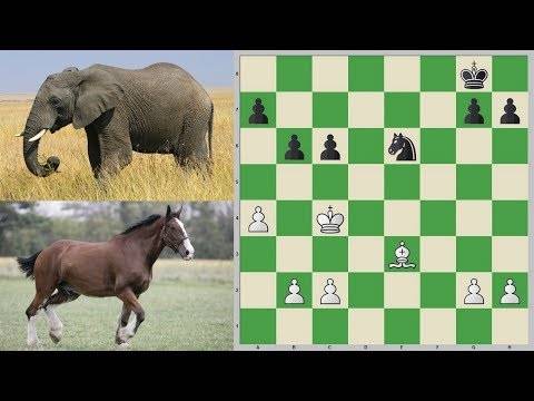 Конь против слона - типичные позиции, этюдные примеры