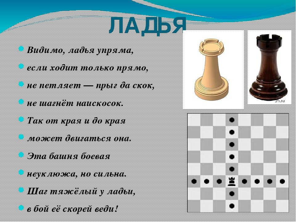Словарь шахматных терминов. самый популярный шахматный термин