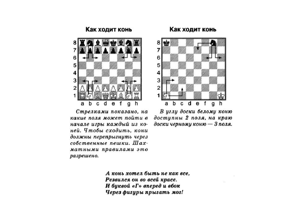 Конспект занятия по обучению игре в шахматы в подготовительной группе «шахматные фигуры. конь». воспитателям детских садов, школьным учителям и педагогам - маам.ру
