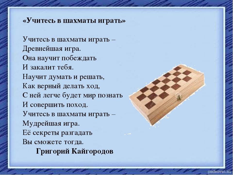 Стихи жизнь шахматы - сборник красивых стихов в доме солнца