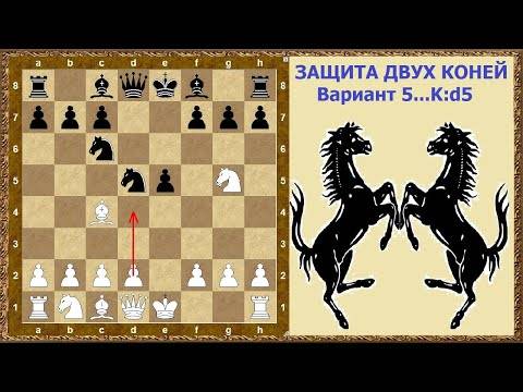 Задача о ходе коня | энциклопедия шахмат | fandom