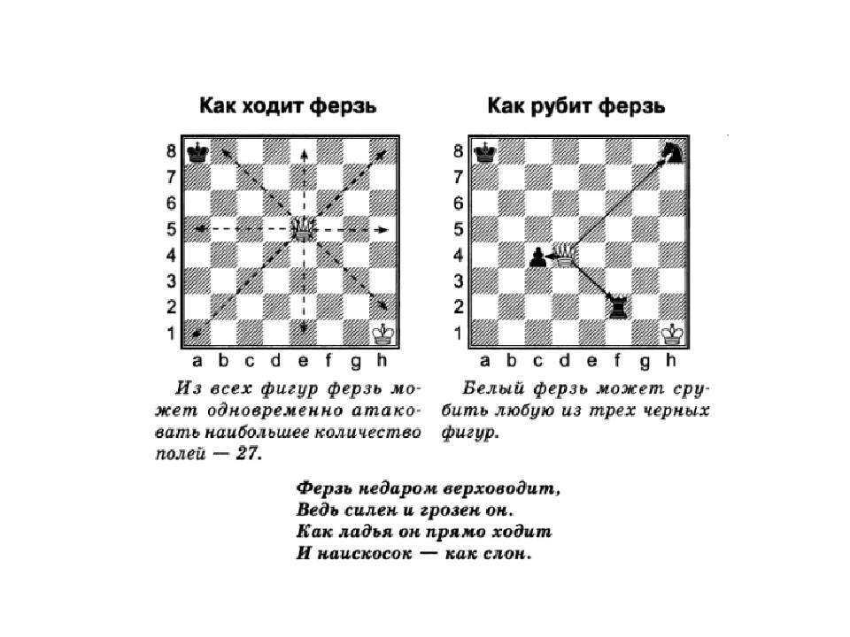 Как ходит конь в шахматах (картинки): может ли назад и через фигуры?