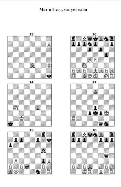 Серия «шахматный университет»