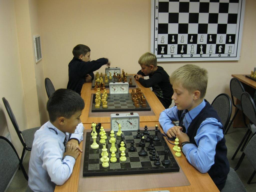 Шахматные школы в свердловской области