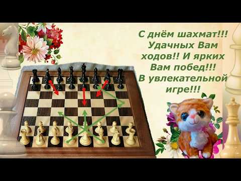 Международный день шахмат 