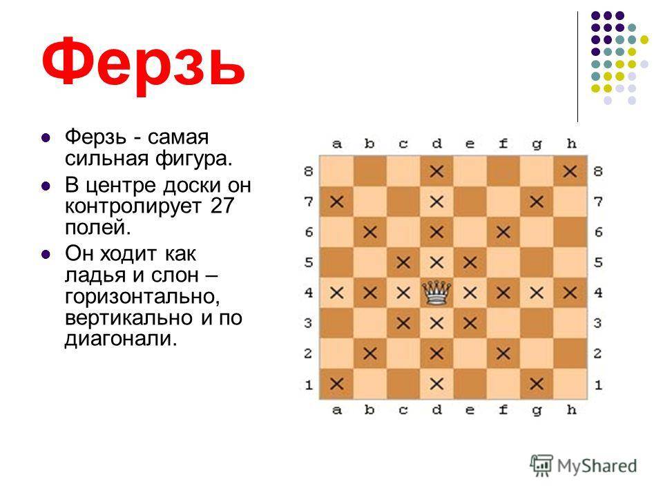Как правильно расставить шахматы на доске (фото)