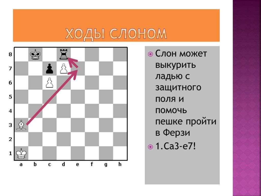 Публикация  	 |
 100-клеточные шахматы | журнал «спорт в школе» № 8/2008