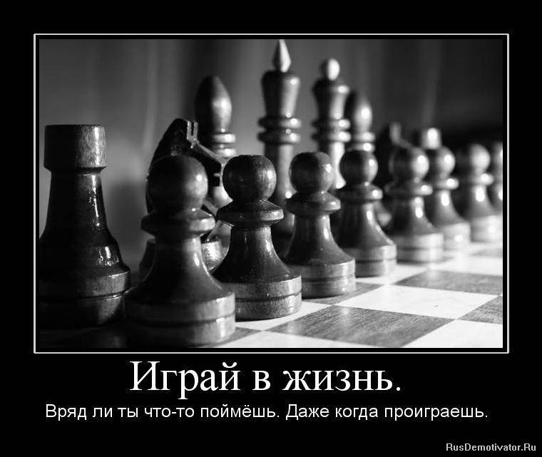 Цитаты про шахматы