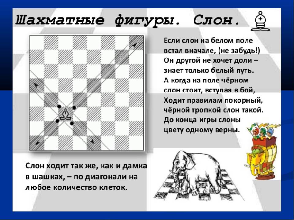 Шахматный слон - шахматная фигура, ее сказочная история - шахматный портал chessknigi.ru - шахматы для детей и их родителей