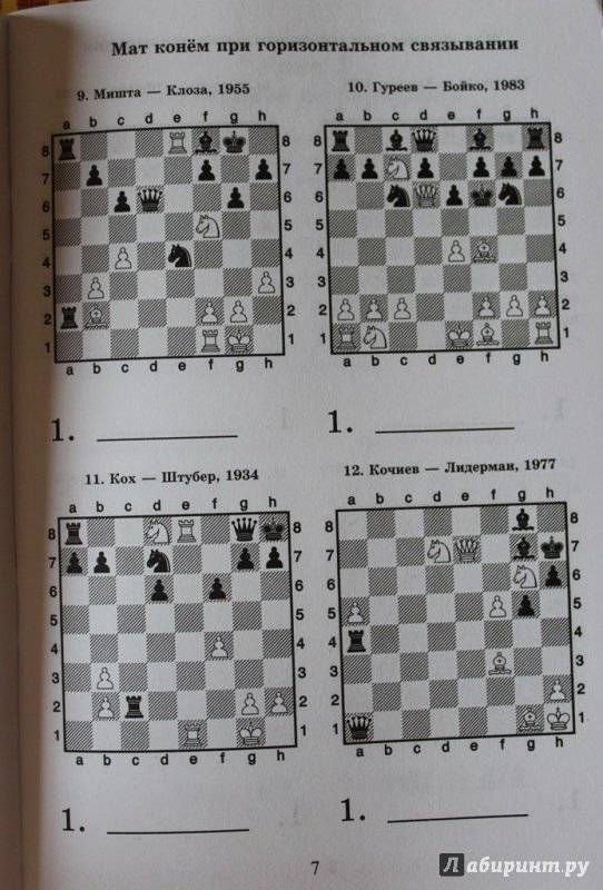Крепость в шахматах: примеры в этюдах и на практике