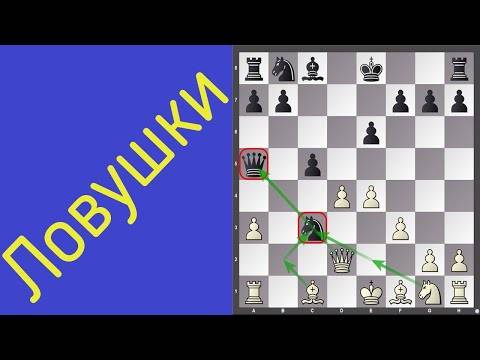Шахматные ловушки в дебюте для начинающих (видео)