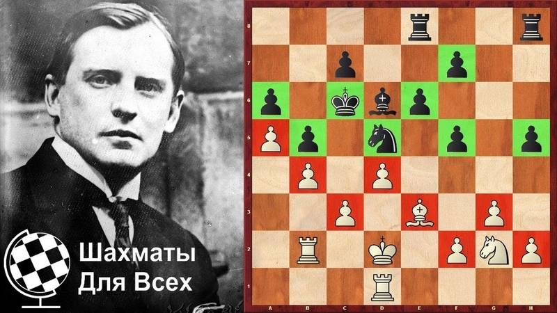 Александр алехин — фото, биография, личная жизнь, причина смерти, шахматист - 24сми