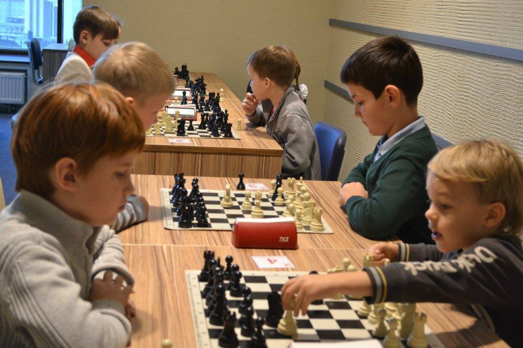 Где найти турниры и соревнования по шахматам?