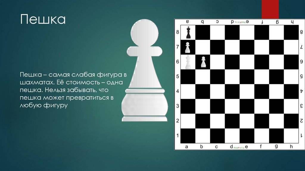 Как ходит пешка в шахматах, рубит, и может ли пешка есть назад |
 chessday