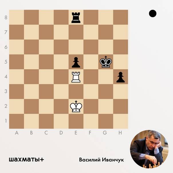 Александр белявский | биография шахматиста, партии, фото, видео