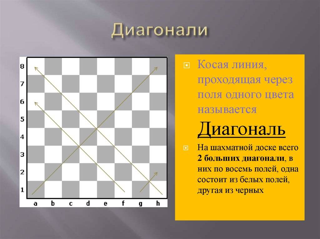 Правильная расстановка шахмат на доске - как расставить шахматные фигуры с фото