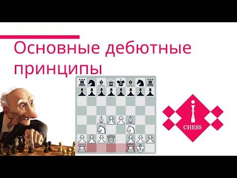 Основы дебютной стратегии. Брошюра для шахматистов 4-й и 3-й категории (разряда)