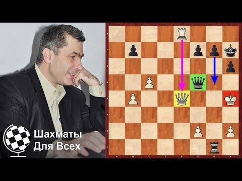 Василий иванчук: биография шахматиста, партии, видео