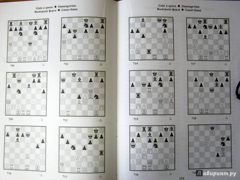 Сборник шахматных комбинаций для начинающих шахматистов