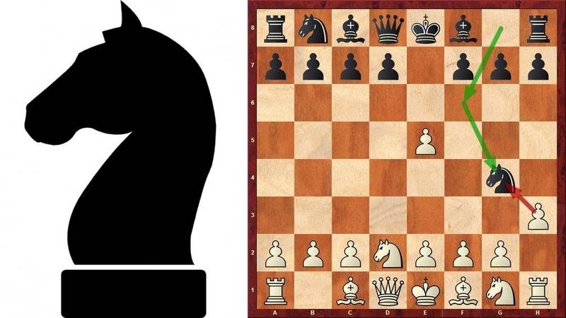 Конь | энциклопедия шахмат | fandom