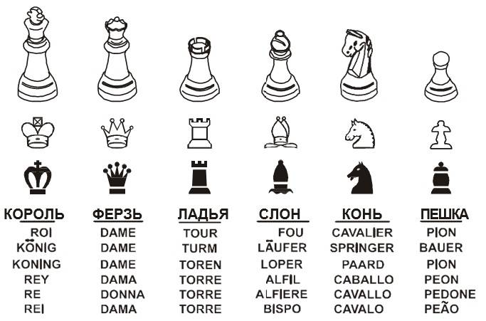 Шахматные термины. известный шахматный термин