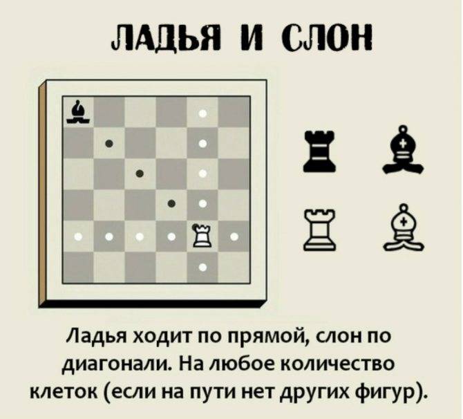 Как ходит слон в шахматах?