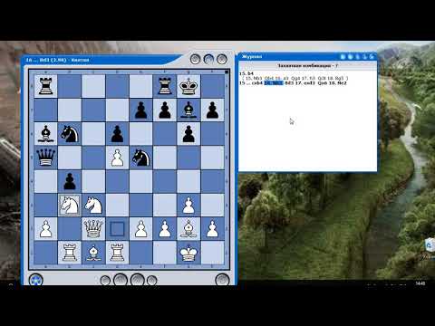 Обучение шахматам по скайпу: когда это целесообразно?
