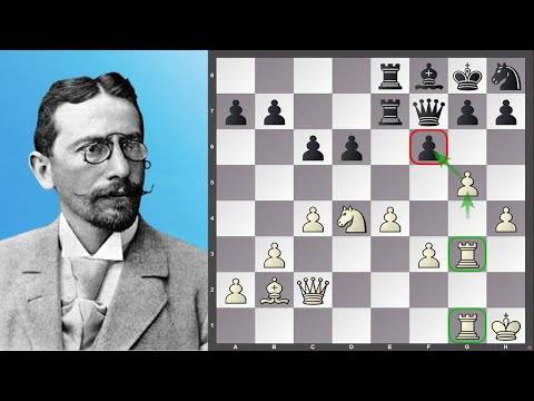 Шахматист карл шлехтер: биография, лучшие партии