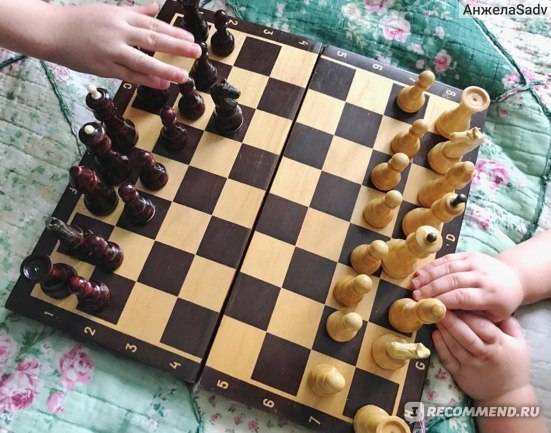 Как научить ребенка играть в шахматы с нуля в домашних условиях ????‍♀