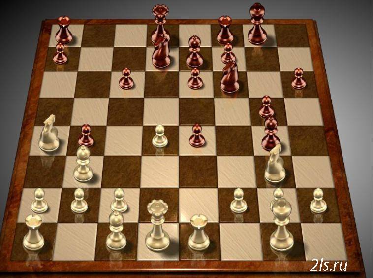 Виды игры в шахматы и их правила