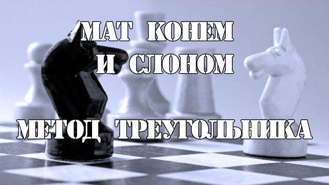 Когда возможен кооперативный мат в шахматах