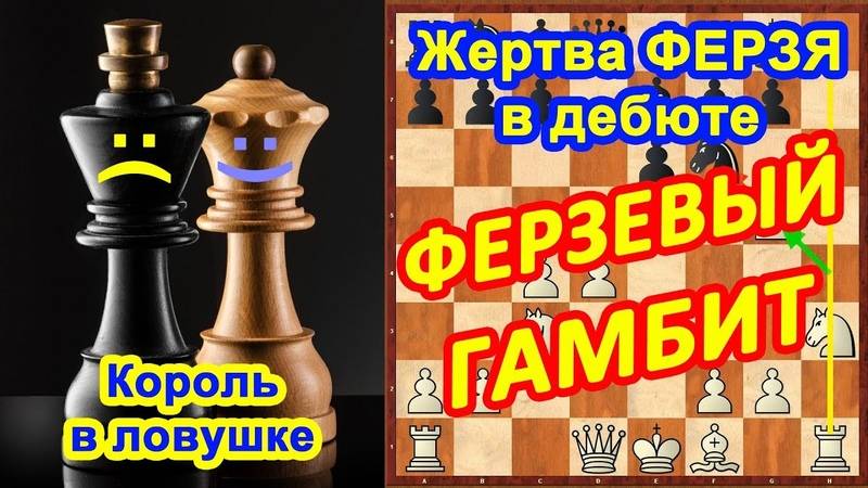 7 шахматных ловушек в дебюте. дебюты в шахматах и ловушки