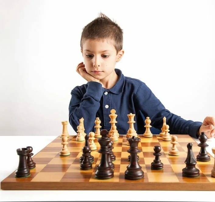Шахматные кружки для детей: как правильно выбрать?