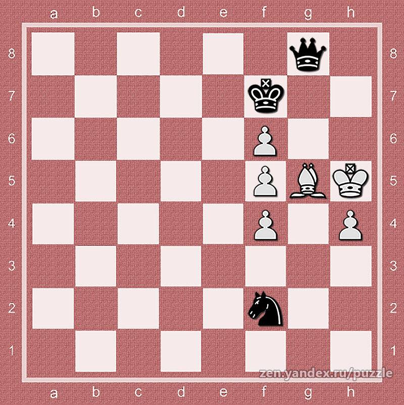Урок двадцать четвертый. какие бывают шахматные пешки?