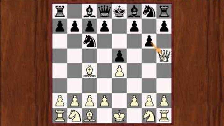 Гамбит урусова | chessnok