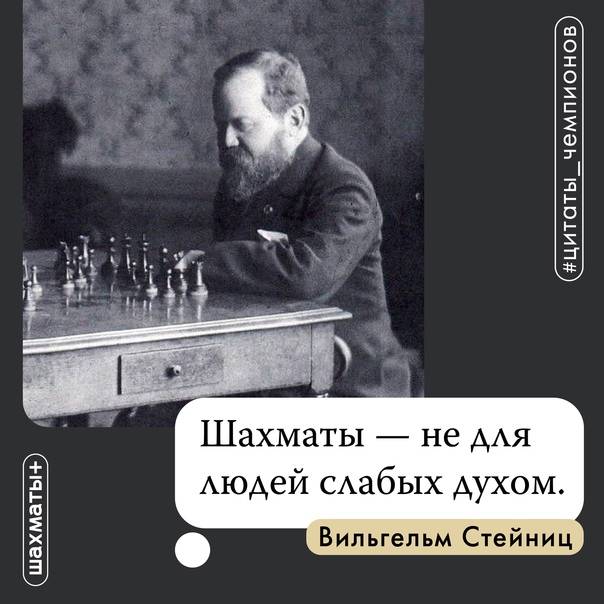 Вильгельм стейниц | биография шахматиста, партии, фото, видео