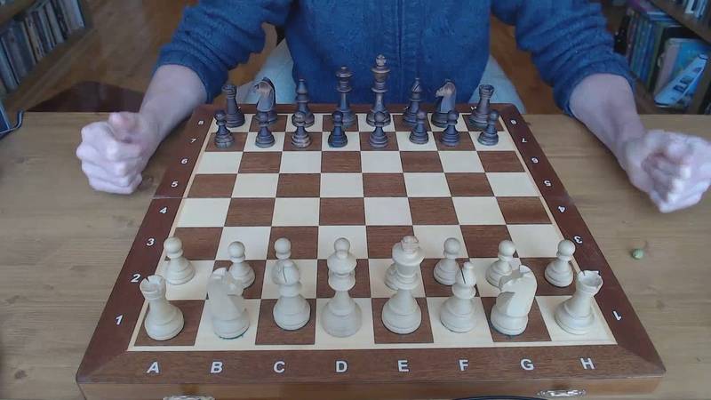 Гамбит в шахматах | что такое, шахматные гамбиты для начинающих