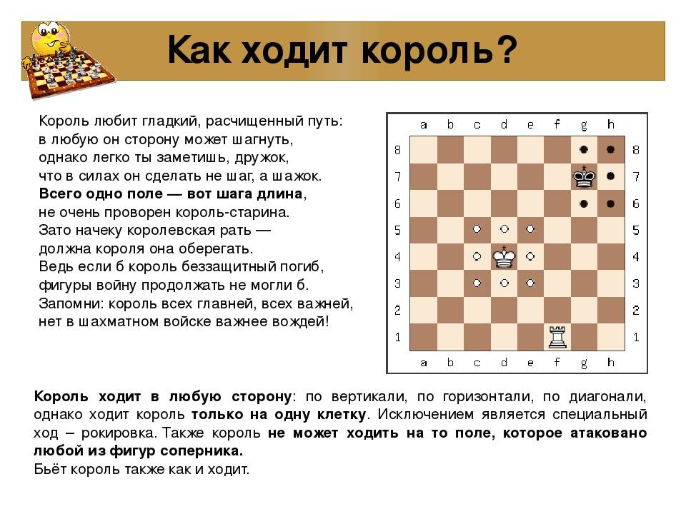 Обучение основным правилам игры в шахматы — урок №1