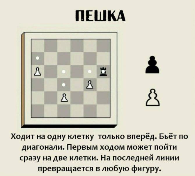 Правило 50 ходов в шахматах