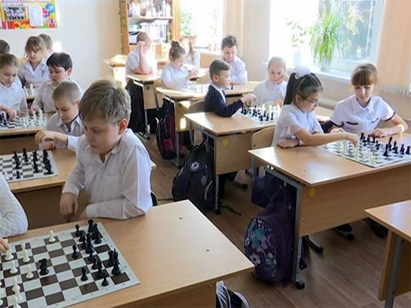 Ход конём: станут ли шахматы обязательным предметом в российских школах