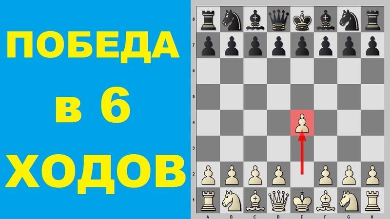 Русская партия - игра за белых и черных (видео)