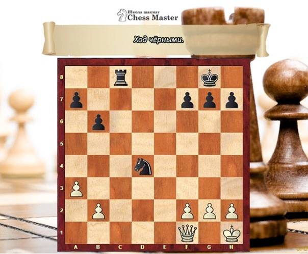 Обучение игре в шахматы для взрослых — в краснодаре и онлайн